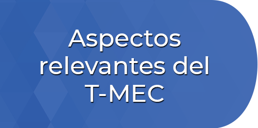 curso aspectos relevantes del T-MEC